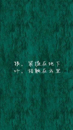 描写舒婷的经典句子