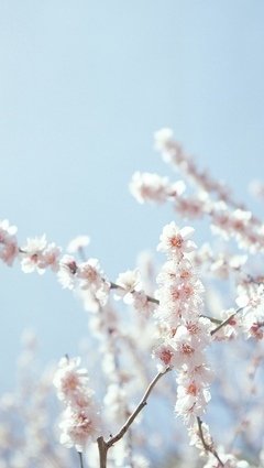 关于有拾的唯美语录