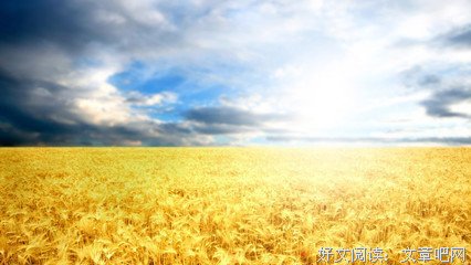 关于秋高气爽的唯美语录