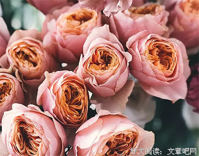 唯美诗句