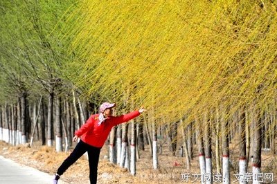 梦醉乡经典的句子
