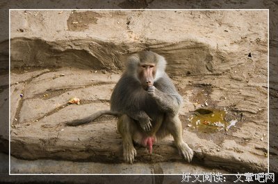 人之初，性之弊经典的句子