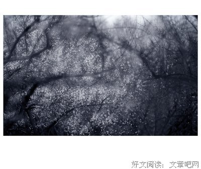 关于孤寒的语句