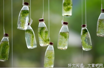 描写柳原的语句摘抄