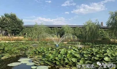 诗和说过小还