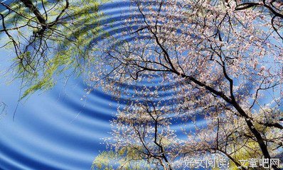 关于心情的优美句子