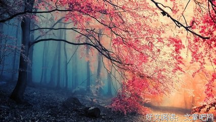 2019北南的名言