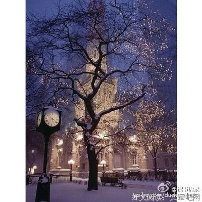 最全的刘同名言警句