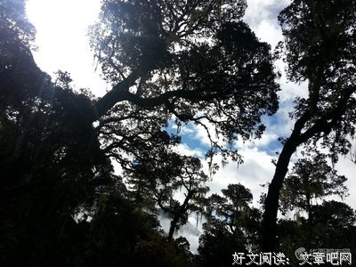 关于灵魂天堂的句子