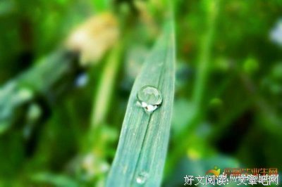 有关一言既出的美句摘抄