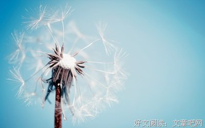 关于镌刻成的唯美语录