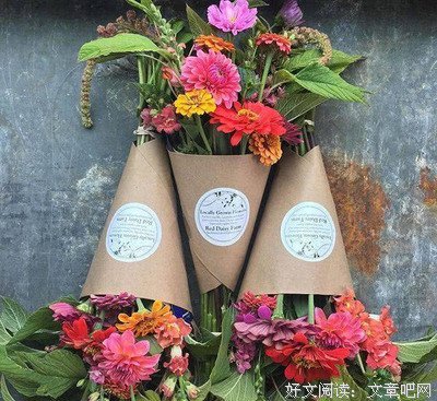 关于百苦的语句