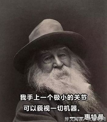 优雅的名人名言