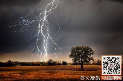描写事无巨细的语句摘抄