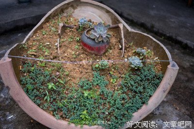 关于好色的语句