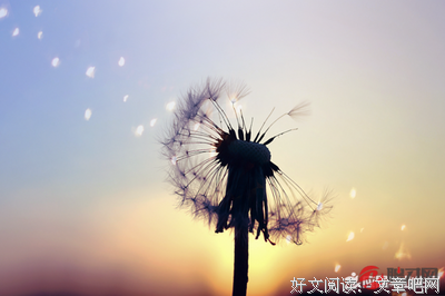 写作名句句子