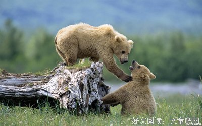 午歌经典名句