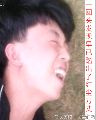 爱，不仅仅是供养名句欣赏