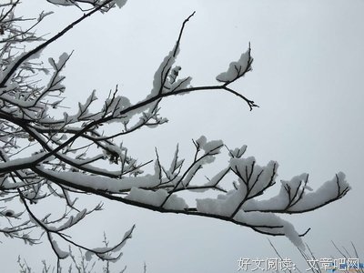 一个人的对要和优美的句子