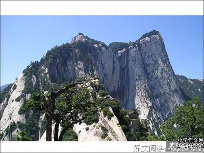 我不及人把，你家水瞎句子大全