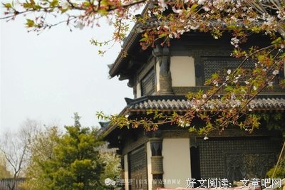 惊悚乐园句子大全