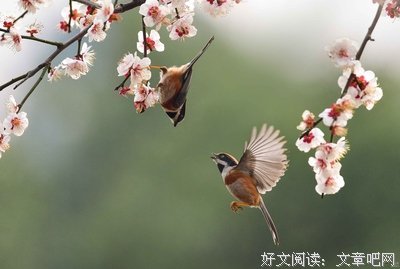 和春天对话