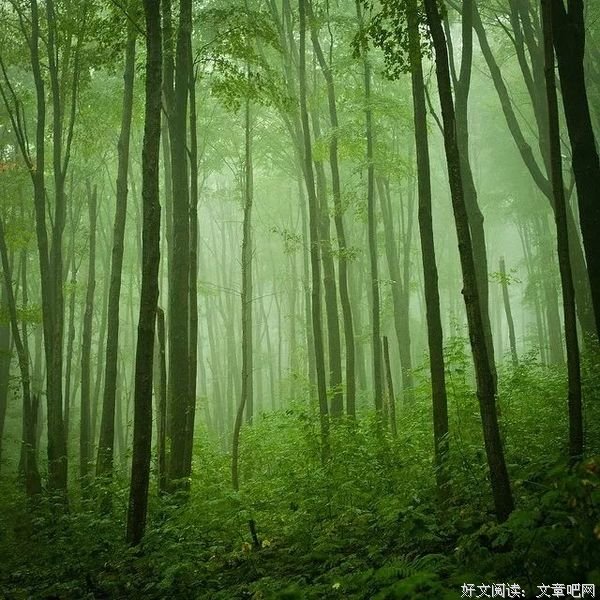 你一生命运，都写在这里... 