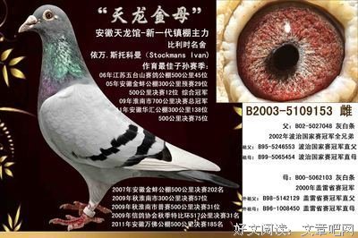 15条关于斯托的经典语句