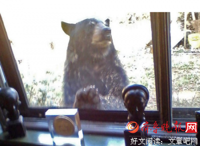 关于视奸的名言