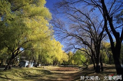 关于木秀的语句