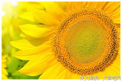 关于功成身退的唯美语录