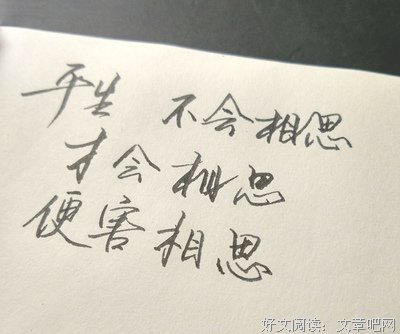 古风美句。句子大全