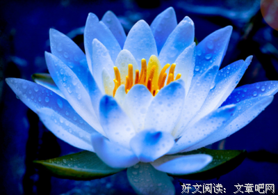 最全的《认真从随便开始》名句欣赏