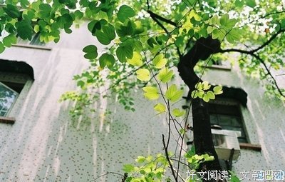 万千世界芸芸众生句子大全