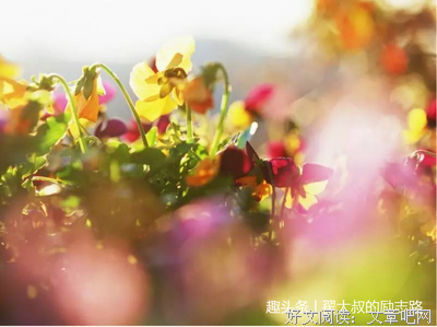 长经典的句子