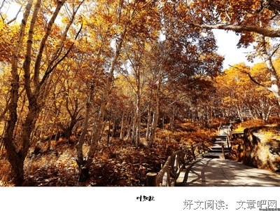 叶知秋的名言_关于叶知秋的名言