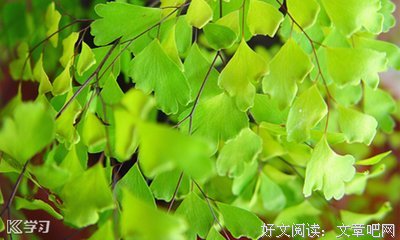 古代唯美句句子大全