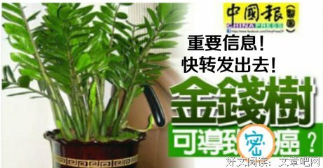 一位风水师傅喝醉后说出的秘密.. 最好背下来！