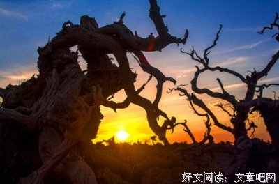 最全的《谢谢自己够勇敢》经典名句大全