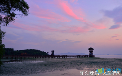 《碎锦》的句子