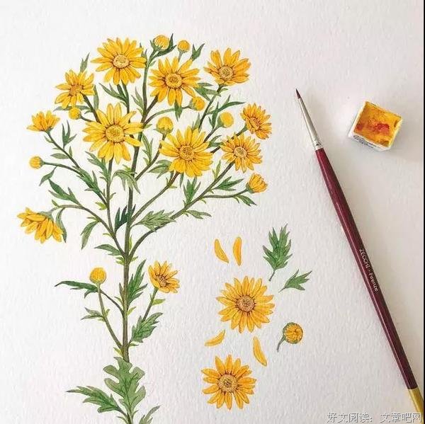 愿你眼中有光芒，活成自己喜欢的模样