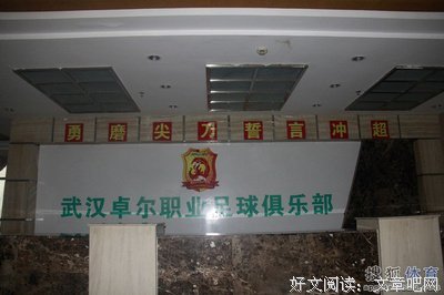 关于卓尔的语句