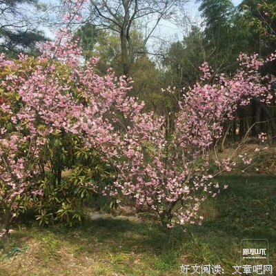 谈何容易格言警句