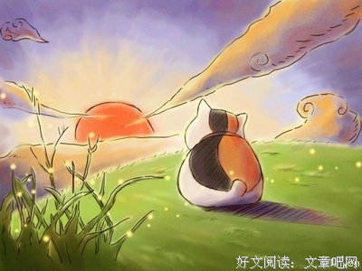 关于夏夕说的句子