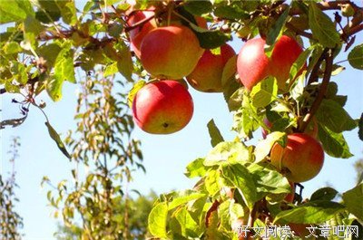 关于哲思的句子