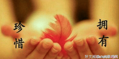 遇见好词好句