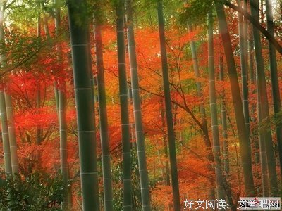 有关哲思的句子