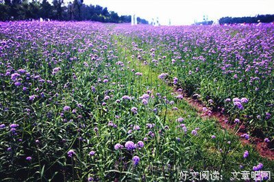 撞上经典的句子