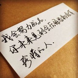 有关文の字的句子