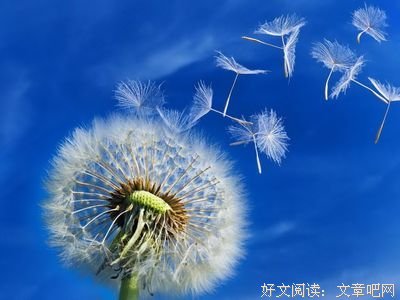 有关轮回梦的句子